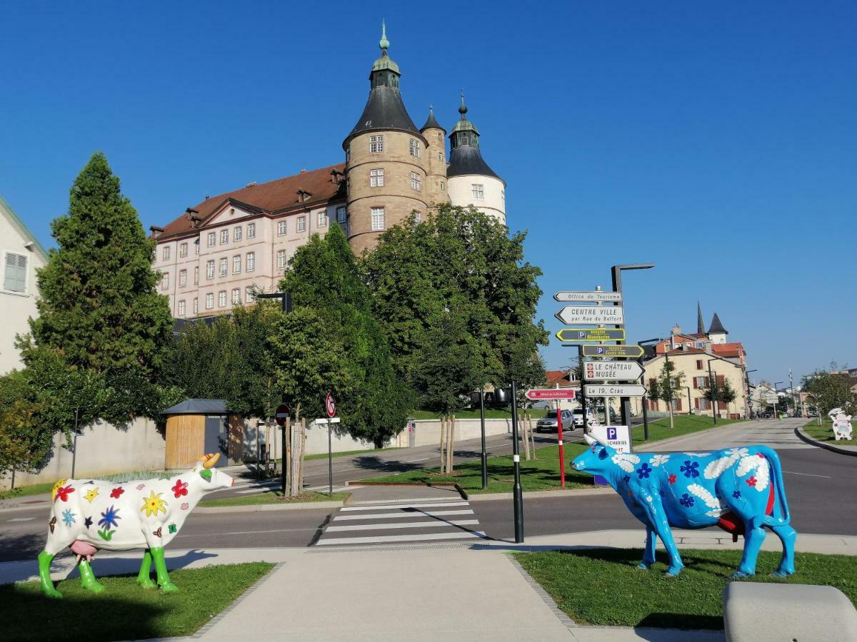Ferienwohnung Le Petit Velotte - Un Cocon En Coeur De Ville Montbéliard Exterior foto
